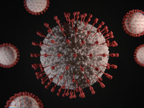 COVID-19 from the Inside